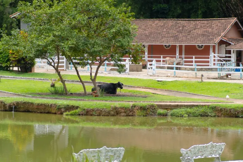 Recreação e atividades no Cavaru — foto 23